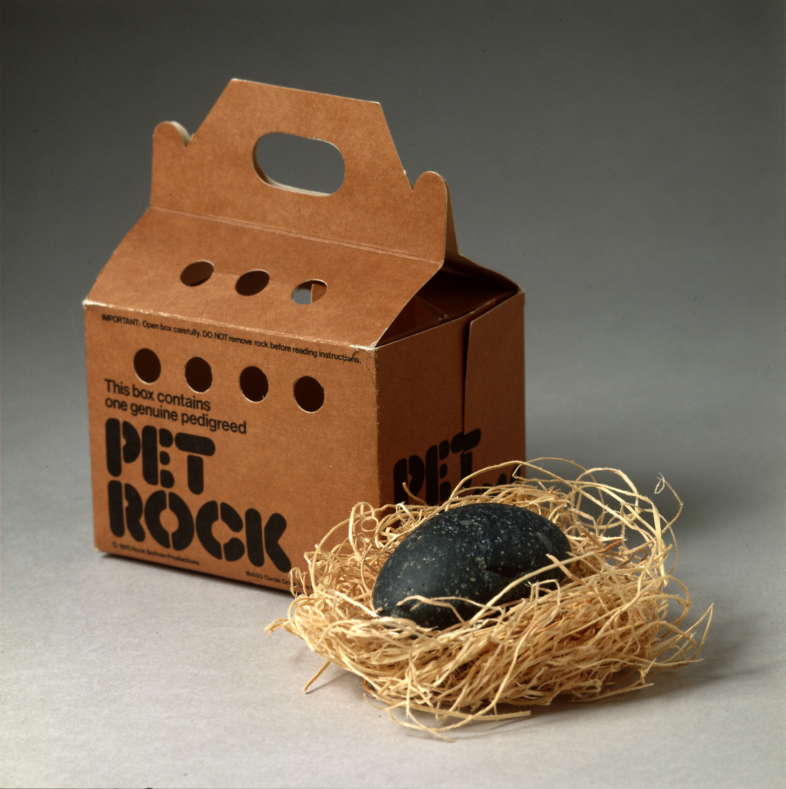 PHOTO: A Pet Rock is displayed with its own carrying case.  