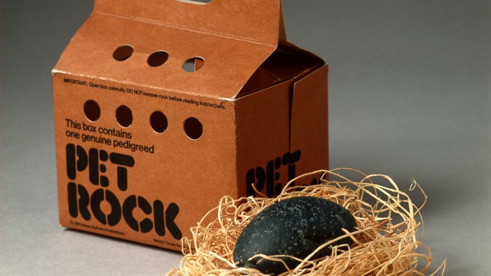PHOTO: A Pet Rock is displayed with its own carrying case.  