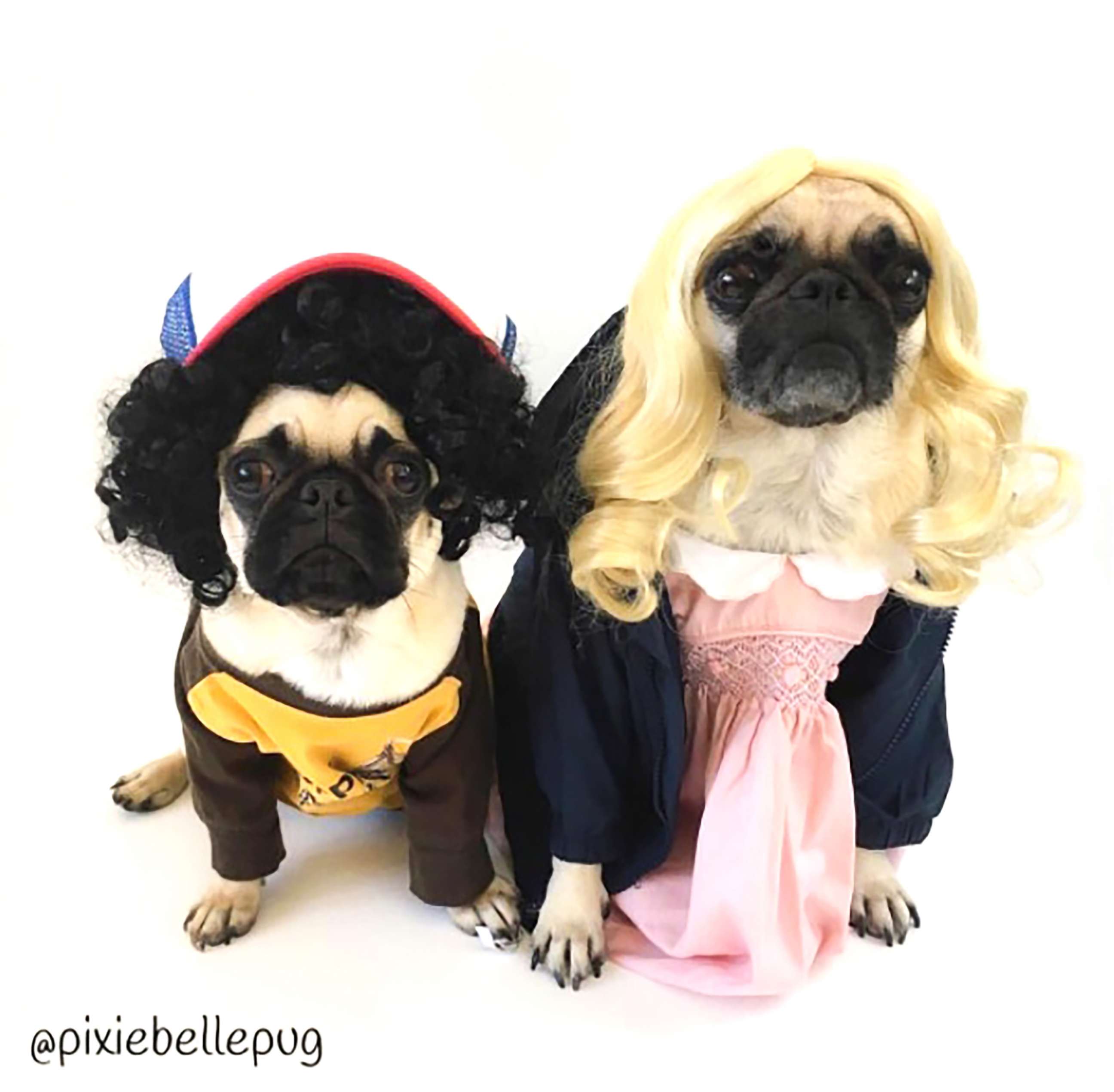 PHOTO: Susan Schumacher, owner of the Instagram account, pixiebellepug, dressed her pugs CharlieRose and Lulubee as Mike and Eleven from the series "Stranger Things.