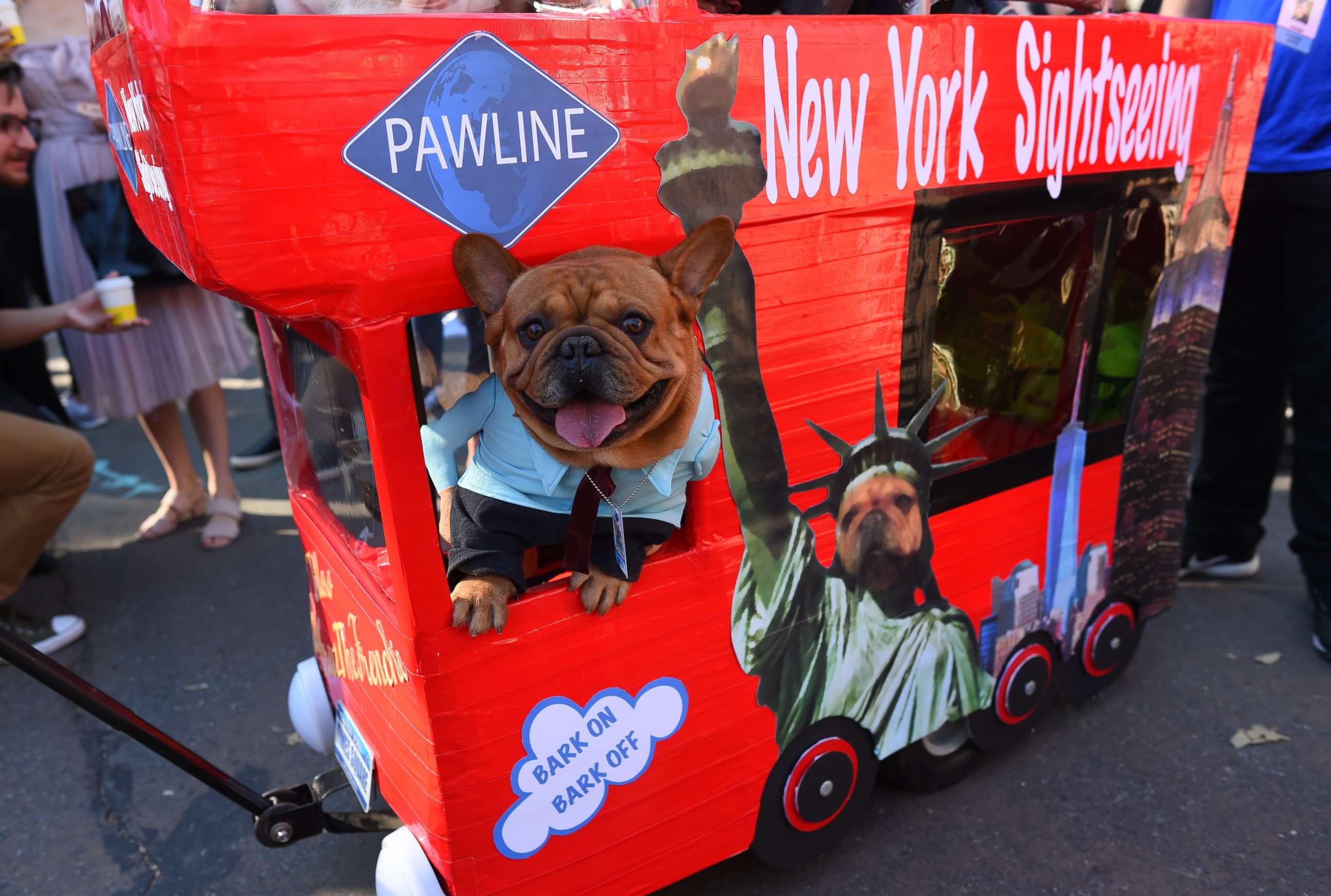PHOTO: A dog in costume is seen during the 27th Annual Tompkins Square Halloween Dog Parade in Tompkins Square Park in New York, Oct. 21, 2017.