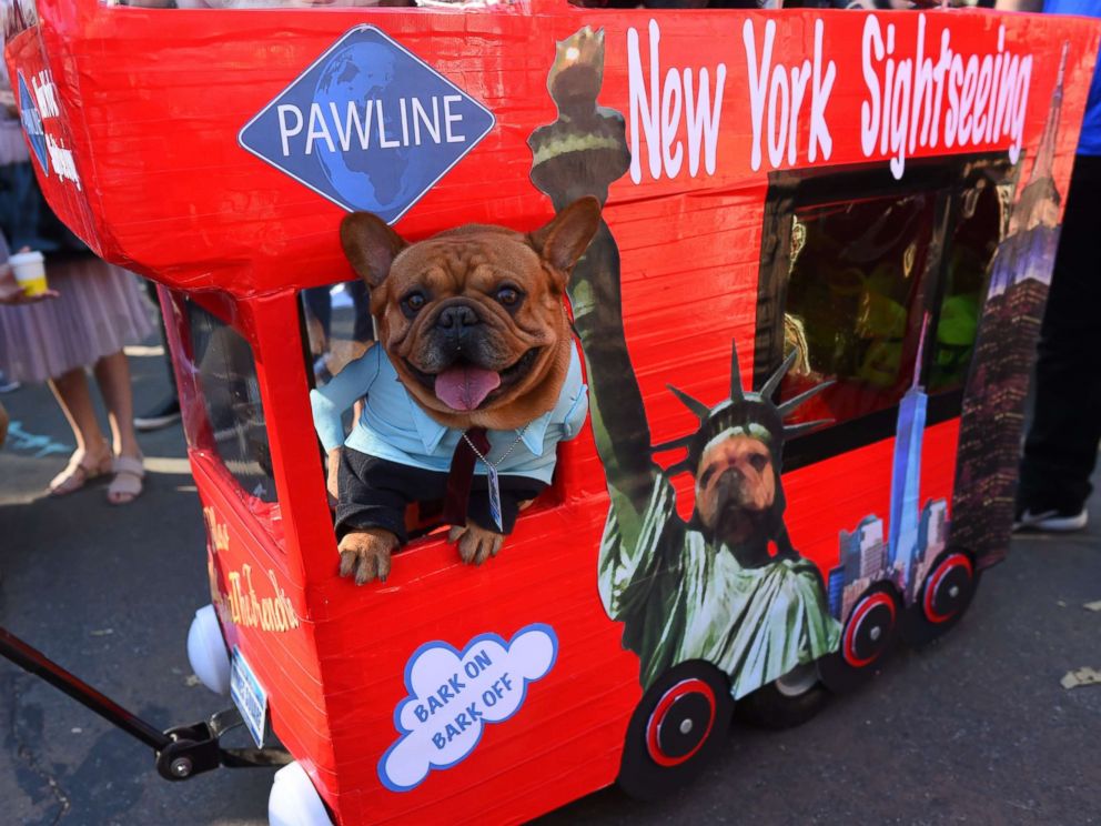 7 best costumes at annual Tompkins Square Halloween Dog Parade - ABC News
