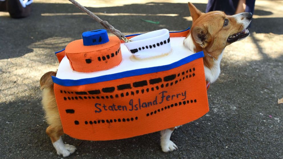 can you bring a dog on the staten island ferry