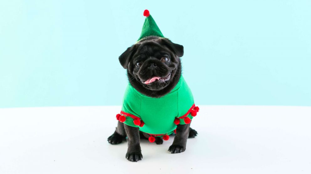 How To Create The Ultimate Ugly Holiday Sweaters ABC News how-to-create-the-ultimate-ugly-holiday-sweaters-abc-news