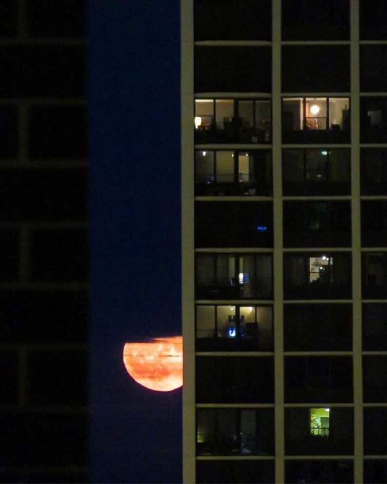 PHOTO: The harvest moon peeks out from behind a tall building in Chicago, Oct. 5, 2017. 