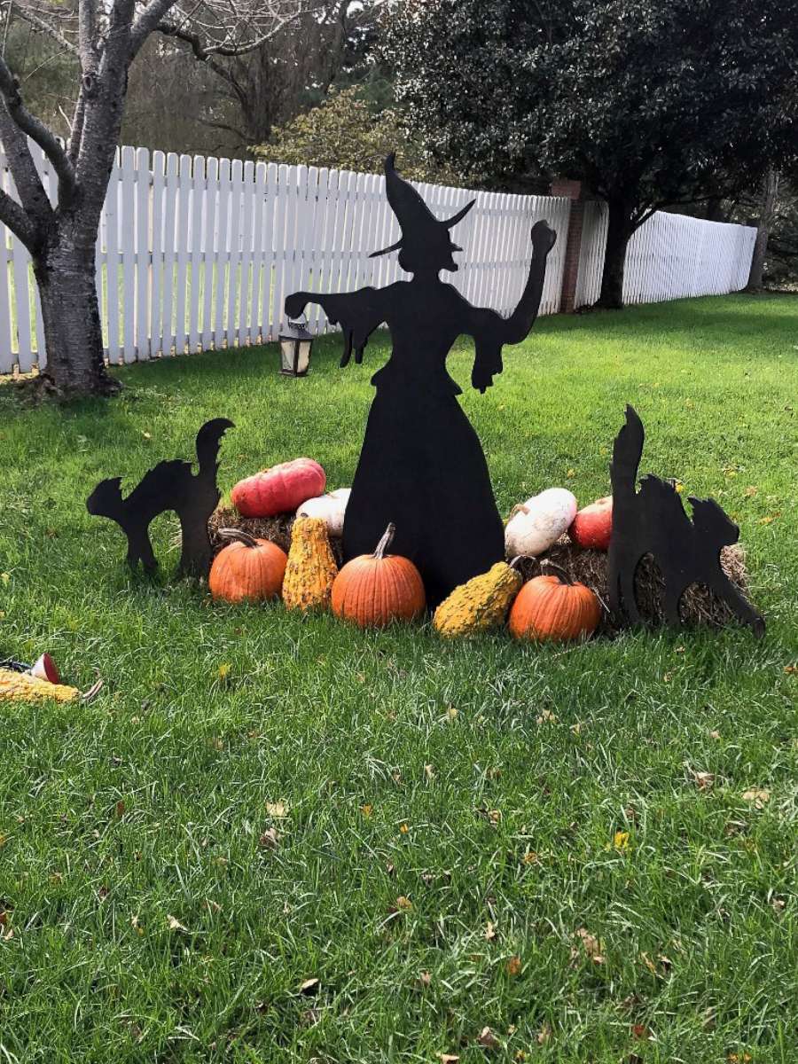 PHOTO: Pumpkins, witches and black cat cutouts decorate the Willis family's lawn in Knoxville, Tenn.