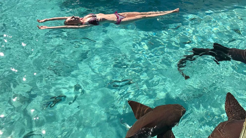 Sarah Carroll floating with sharks on the final day of her honeymoon before the attack.