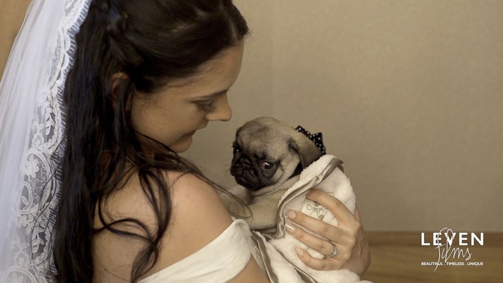 PHOTO: Stephen Watt surprised his bride Keriann Watt with a long-desired pug puppy at their wedding reception in Luss, Scotland.