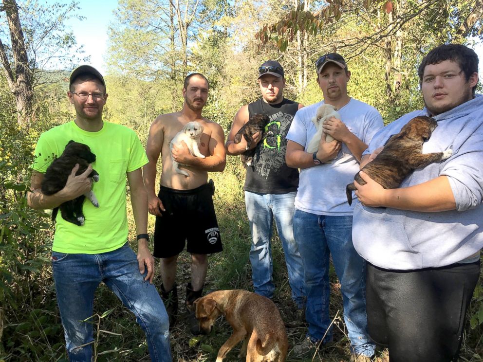 PHOTO: These men didn't expect expect to be caring for puppies when they left for the woods in Tennessee for a bachelor party. 