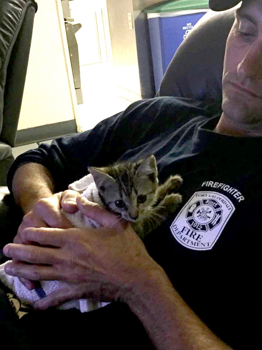 PHOTO: Eric Fillyaw helped rescue a kitten from the engine of a 2016 Porsche Cayenne in the Galleria Mall parking lot in Fort Lauderdale, Florida on April 13, 2017. 