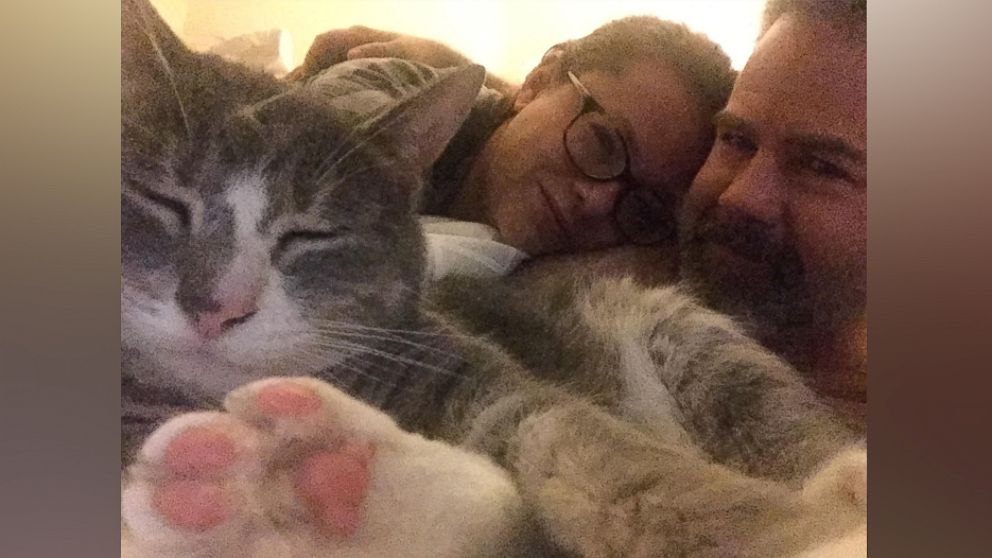 PHOTO: Mary Irwin's "jerk" cat, Babou, has been found.