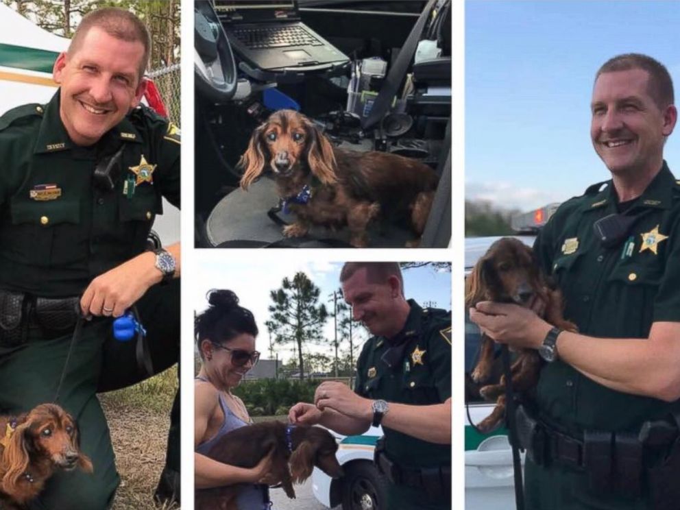 PHOTO: Morgan, the 18-year-old the rescue dog, is living out the rest of his life in Fort Meyers, Florida, by checking off his bucket list.