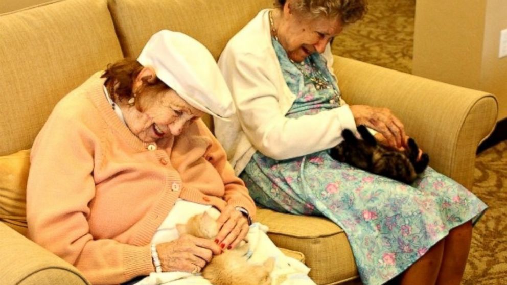 Memory loss residents at Catalina Springs Memory Care Facility in Oro Valley, Arizona, are now caring for kittens in their new "Bottle Babies" program.