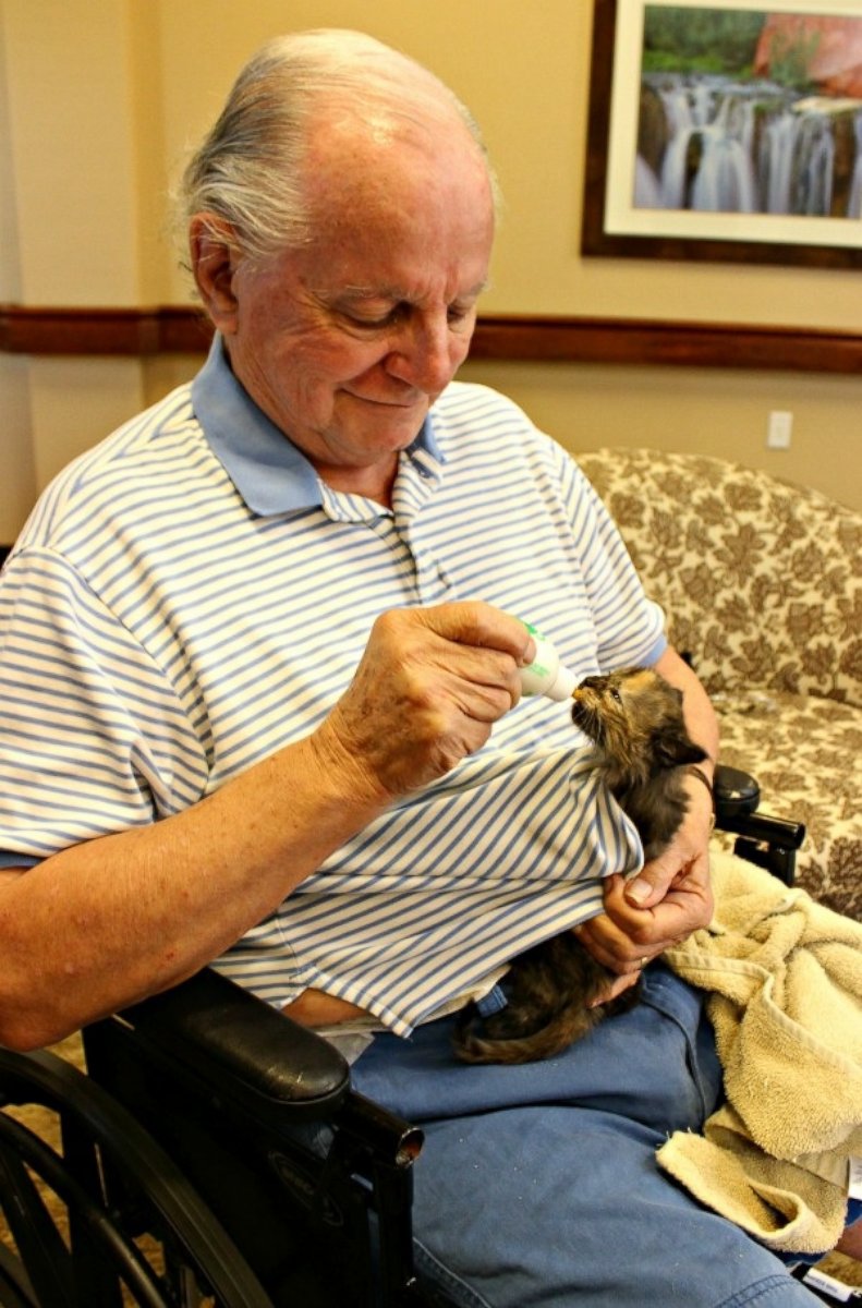 PHOTO: Memory loss residents at Catalina Springs Memory Care Facility in Oro Valley, Arizona, are now caring for kittens in their new "Bottle Babies" program.