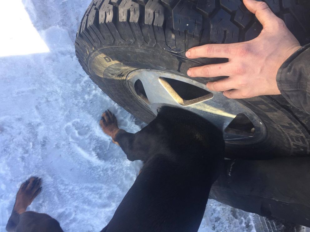 PHOTO:  A crew from the Butte-Silver Bow Fire Department in Montana said it helped free a puppy that got its head stuck through the wheel of a tire, Jan. 30, 2017.
