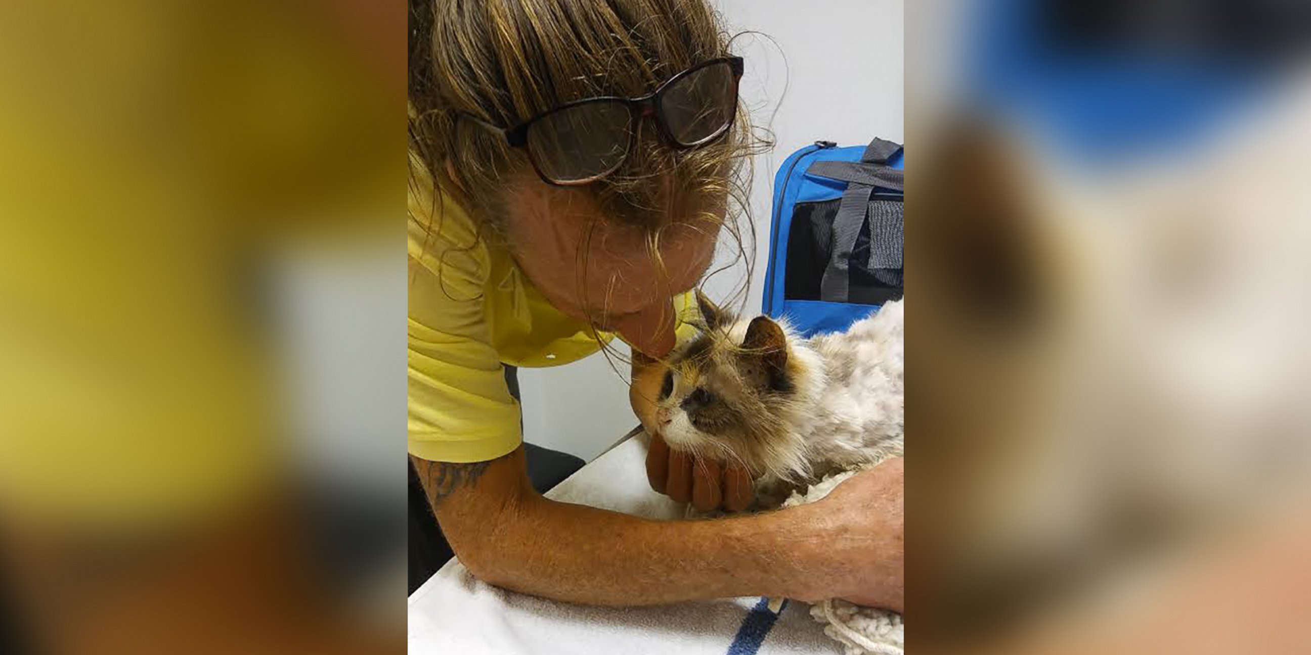 PHOTO: Raymond McNamara shared an emotional reunion with his 20-year-old cat, Lily. 