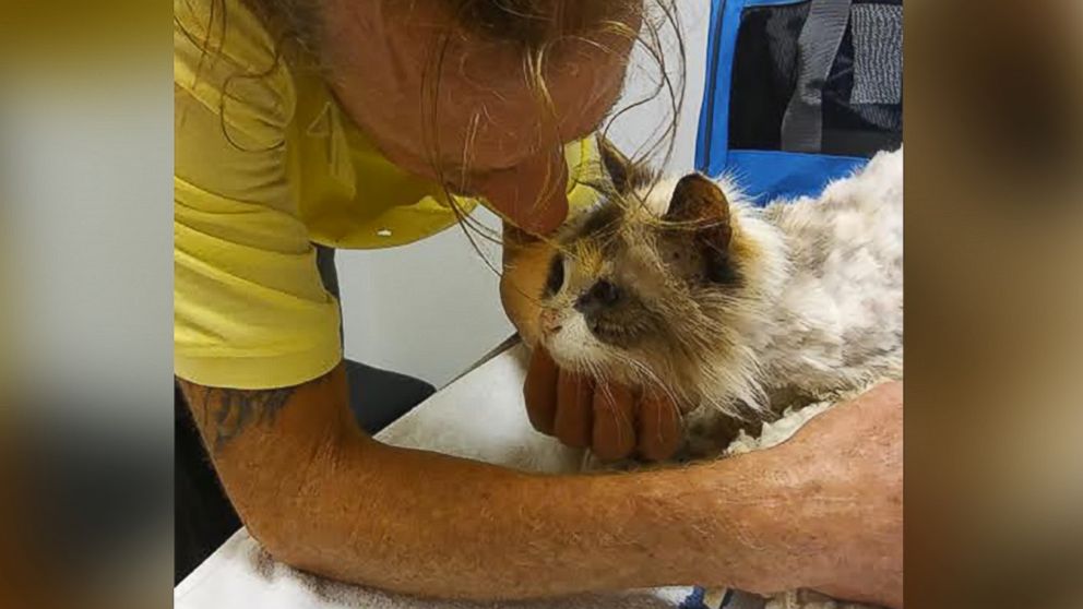 PHOTO: Raymond McNamara shared an emotional reunion with his 20-year-old cat, Lily. 