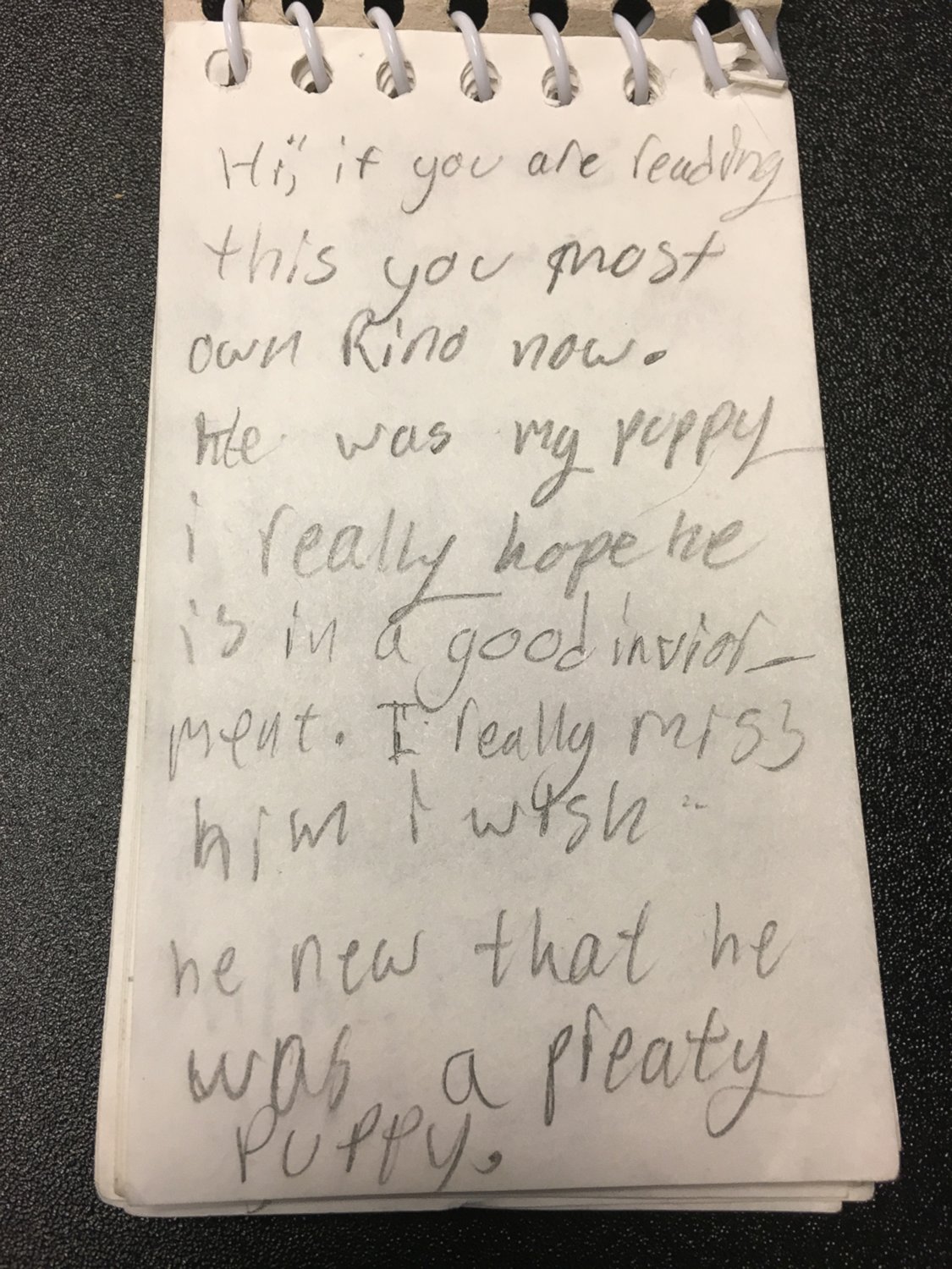 PHOTO: A dog named Rhino Lightning arrived at the Utah Humane Society with a 16-page "owner's manual" written by an 8-year-old girl. 