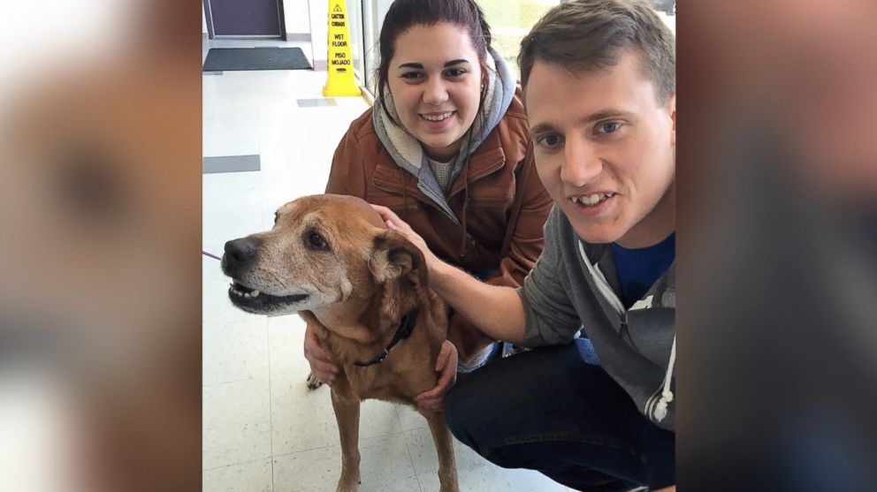 A 17-year-old Maryland shelter dog named Rocky was adopted by Beth and Michael Clark in 2015, and lived just long enough to welcome their child home last month.