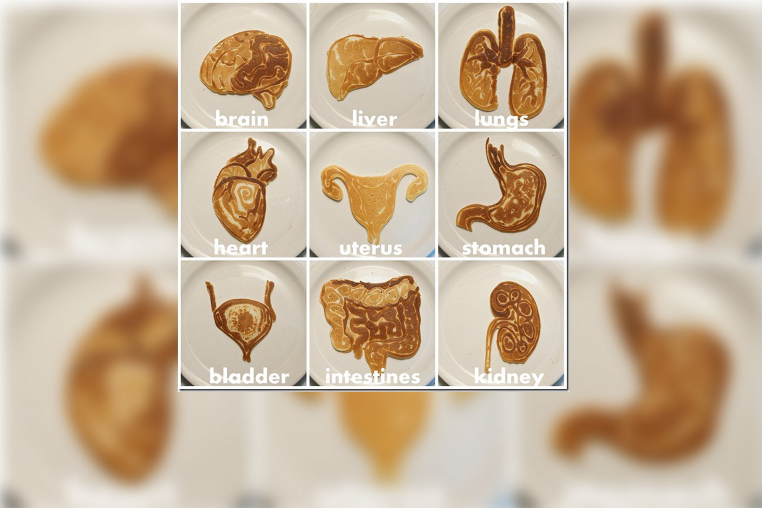PHOTO: Various human organs are portrayed in pancake art made by illustrator Nathan Shields for his children.