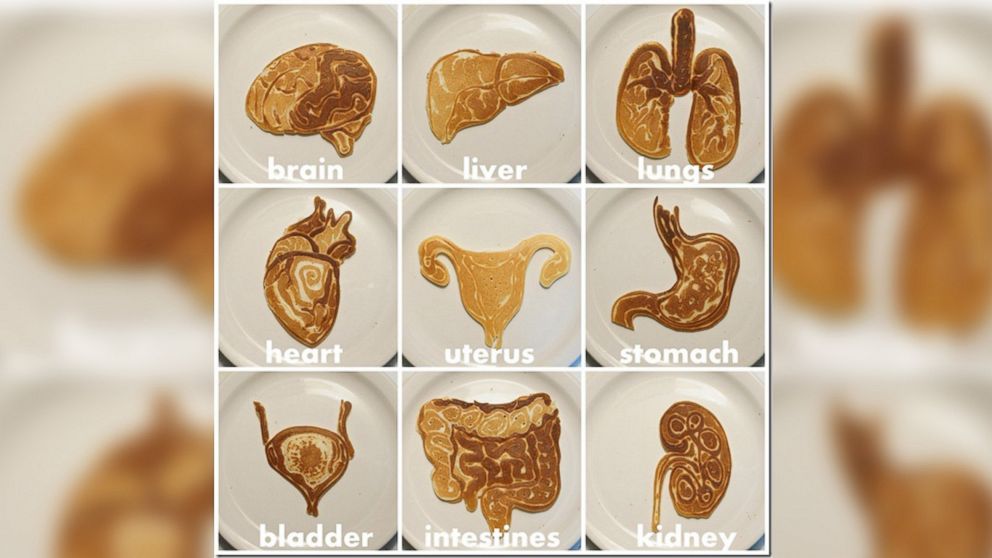 PHOTO: Various human organs are portrayed in pancake art made by illustrator Nathan Shields for his children.