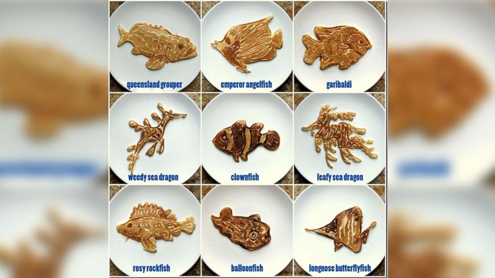 PHOTO: Various species of fish are portrayed in pancake art made by illustrator Nathan Shields for his children.