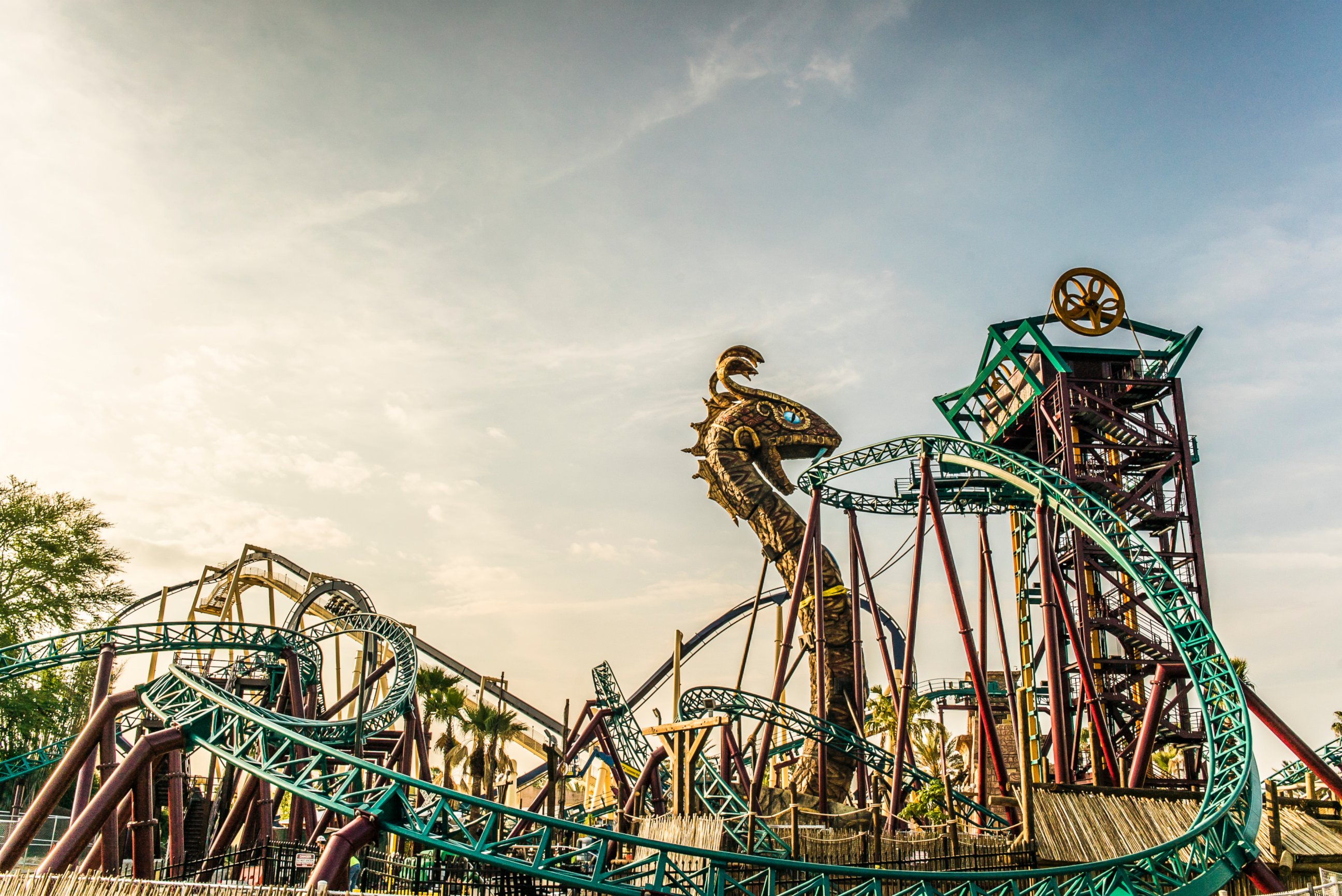 PHOTO: Busch Gardens Tampa Bay's newest attraction, Cobra’s Curse opened, June 17, 2016. 