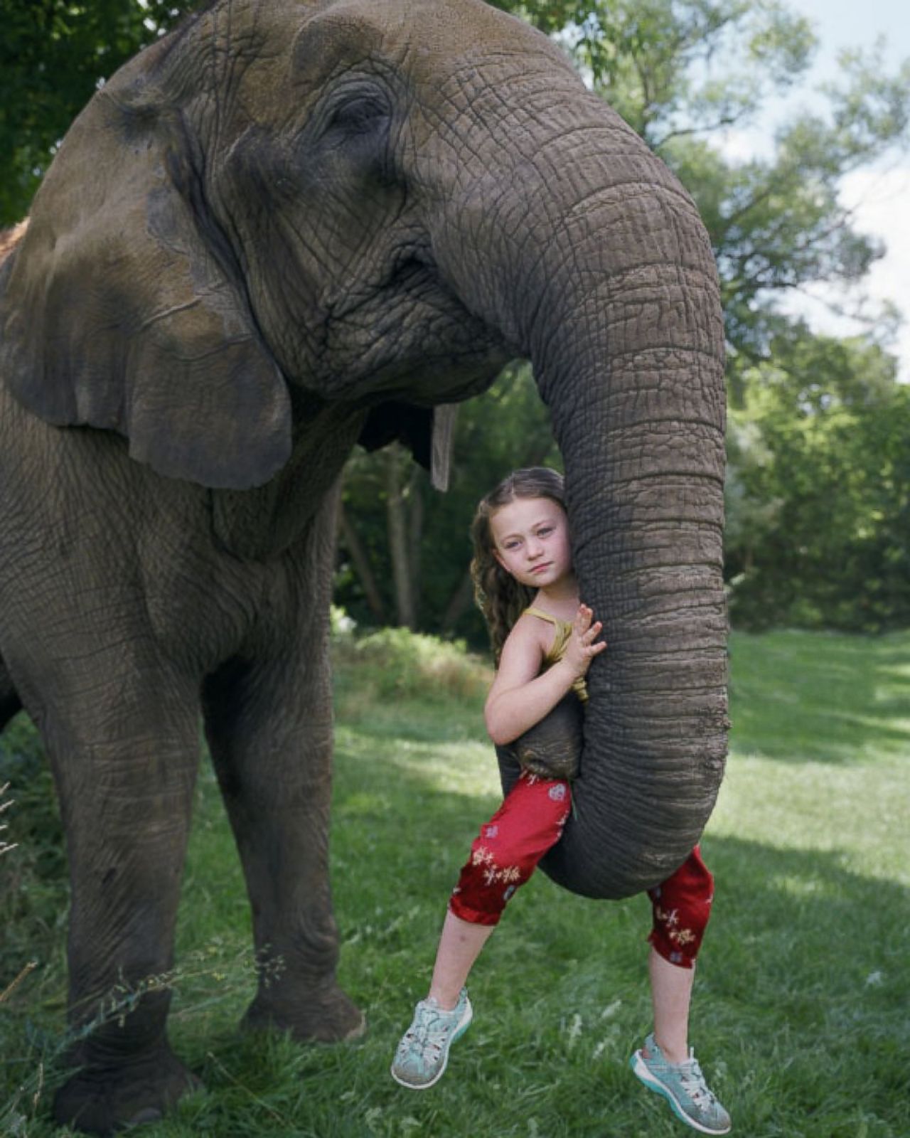 Animals member. Девочка на слоги. Девочка и слон. Слон для детей.