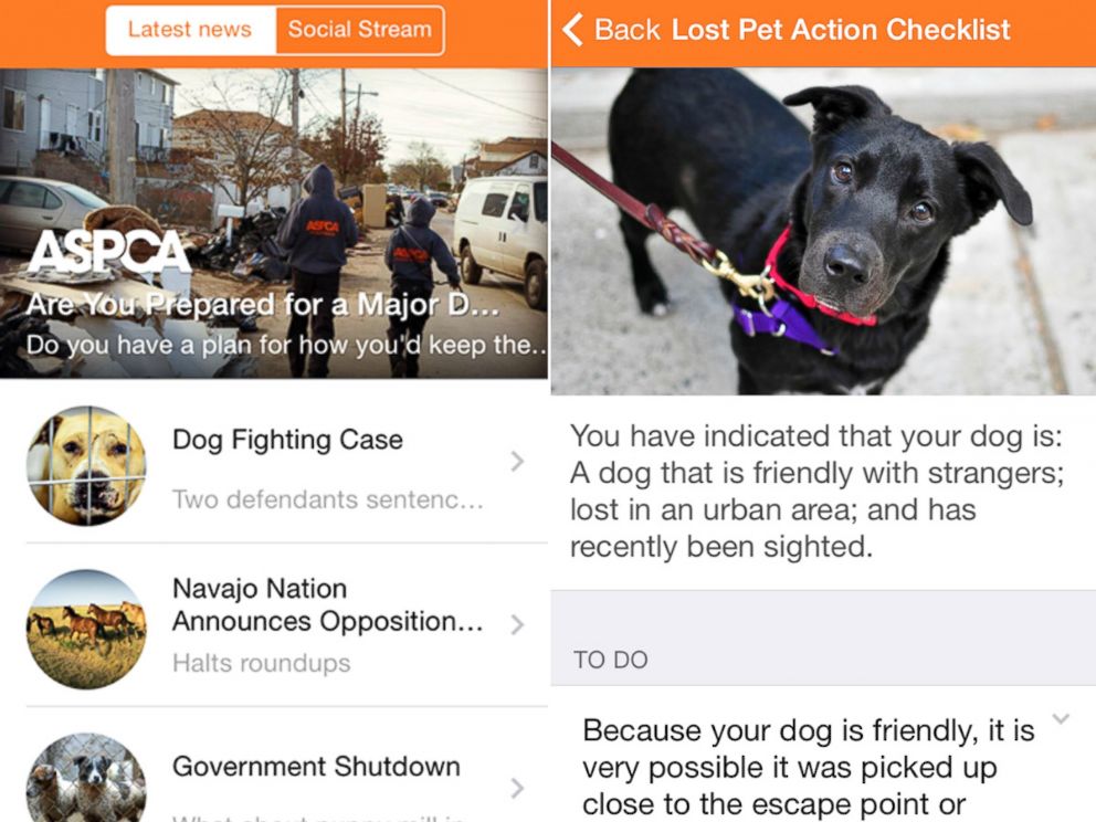 Aspca App Seeks To Prevent Lost Pets Abc News