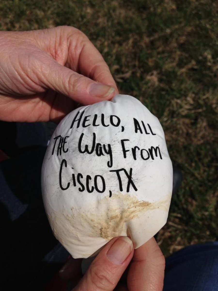 PHOTO: Girl’s Good Luck Balloon Travels 1,000 Miles to Texas