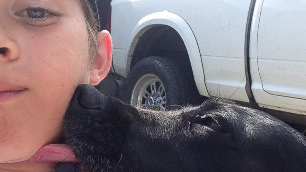 PHOTO: Little Boy Sneaks Into Neighbor’s Garage to Steal Hugs from Their Dog 
