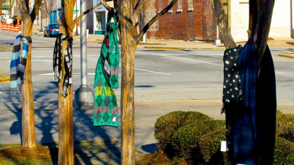 PHOTO: Chase the Chill of Central GA tied 144 scarves to trees for the taking.