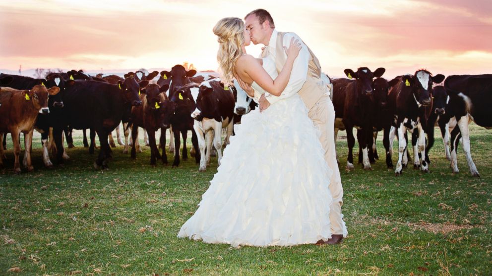 PHOTO: Kelly Clarkson's music video for 'Tie It Up" featured brides and grooms taking vows at a dairy farm, reflecting a trend among couples.