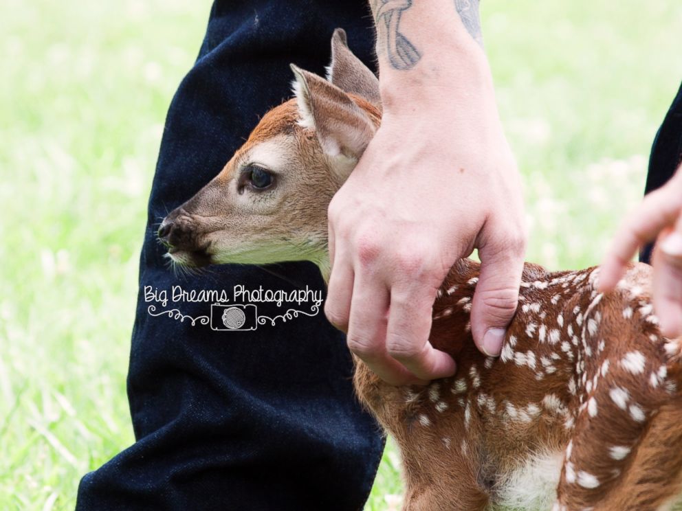 PHOTO:  A tiny fawn photobombed a family photo shoot in Nashville, Tennessee this week.