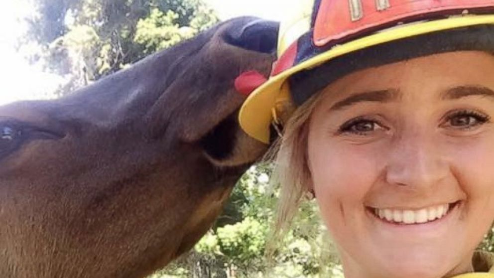 Friendly Orphaned Elk Snuggles Up to All The Firefighters Working in Area