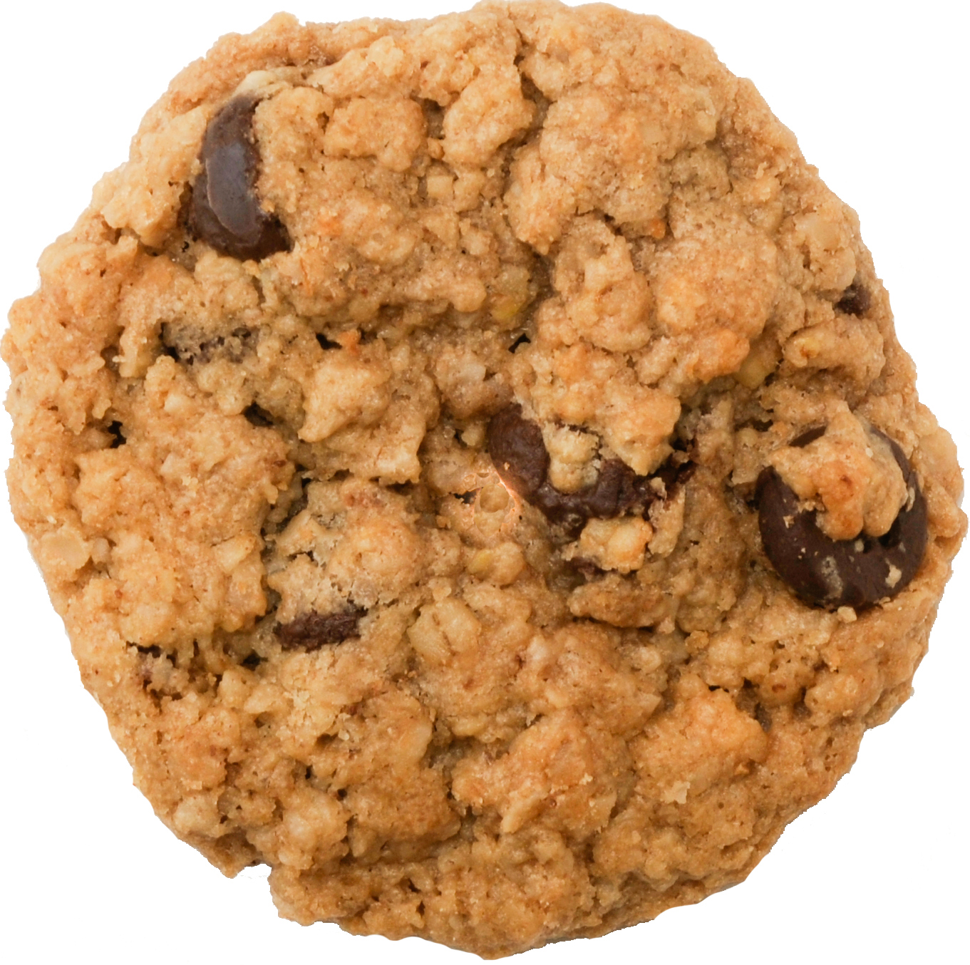 PHOTO: The Girl Scouts are adding three new cookie varieties to their delicious ranks this year: Rah-Rah Raisin oatmeal cookies and two gluten-free. 
