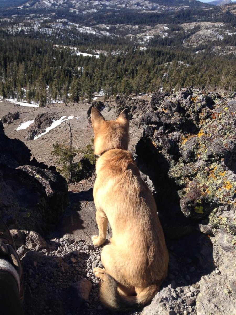 PHOTO: Jeff Douglas, a chaplain at Advanced Hospice in Sacramento, California, embarked on a 375-mile and 25-day-long hike with his 5-year-old dog Hachi, Sept. 12, 2016, to raise awareness for hospice care. 