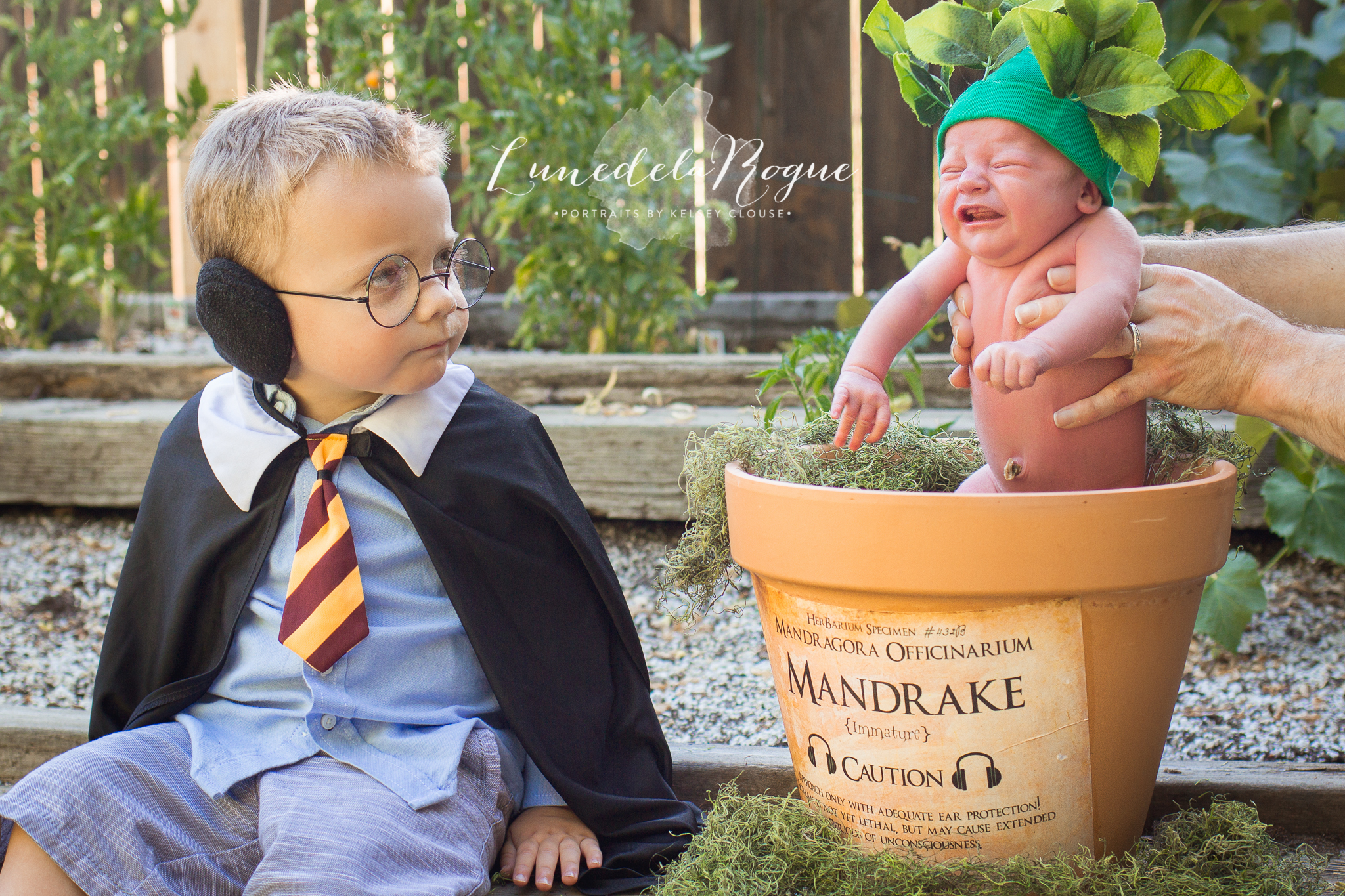 This Harry Potter-Themed Newborn Photo Shoot Is Gryffindorable