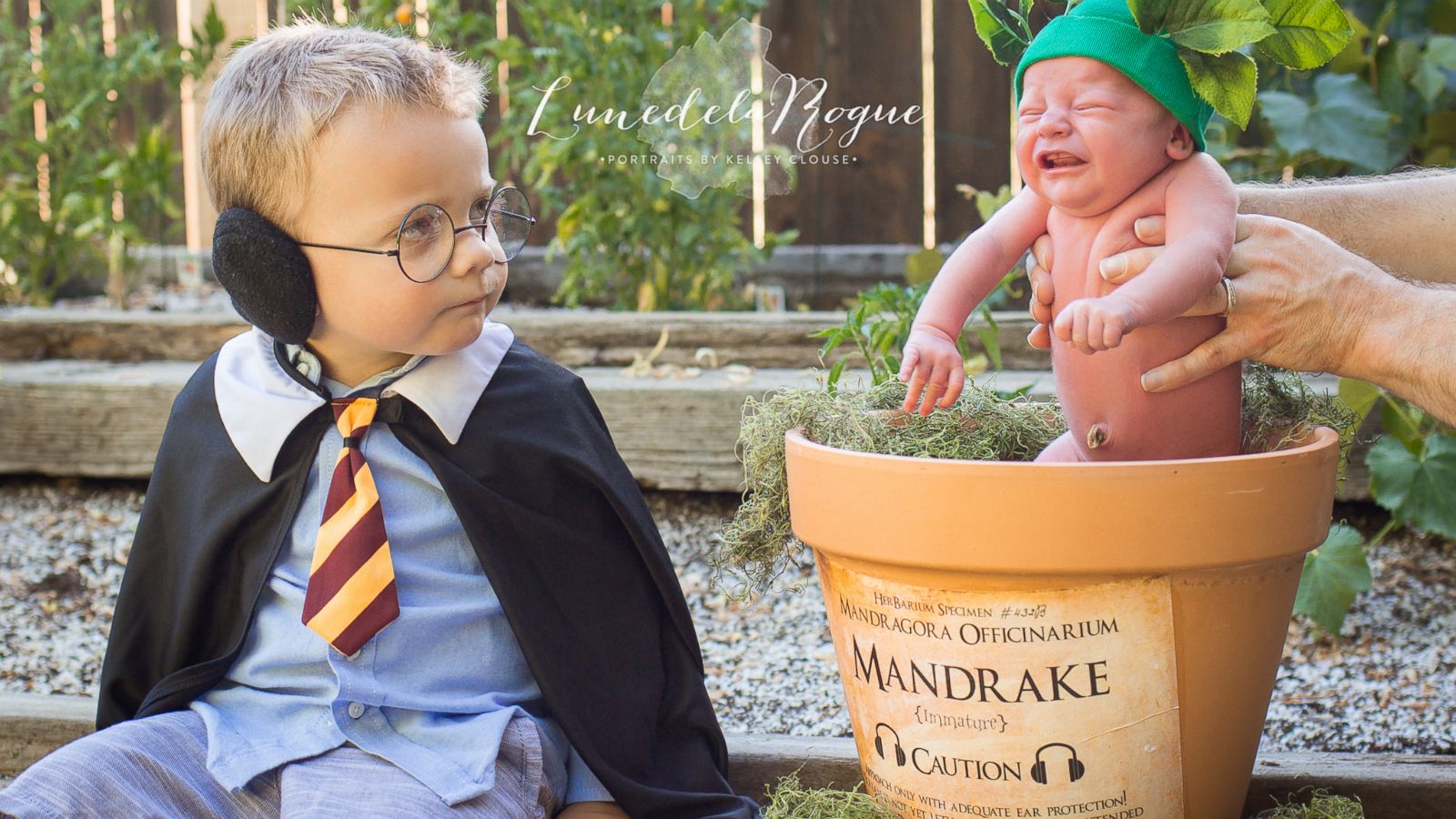 Harry Potter Mandrake Baby Costume  Harry potter mandrake, Harry potter  baby, Cute baby costumes