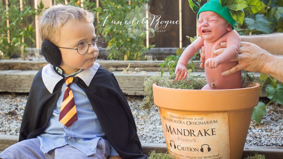 This Harry Potter-Themed Newborn Photo Shoot is Gryffindorable