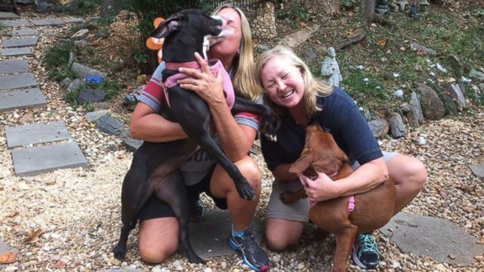 PHOTO: Kala and Keira, two shelters dogs caught hugging each other in a viral photo, were adopted by longtime roommates and best friends Pam and Wendy in Georgia in Oct. 2015. 
