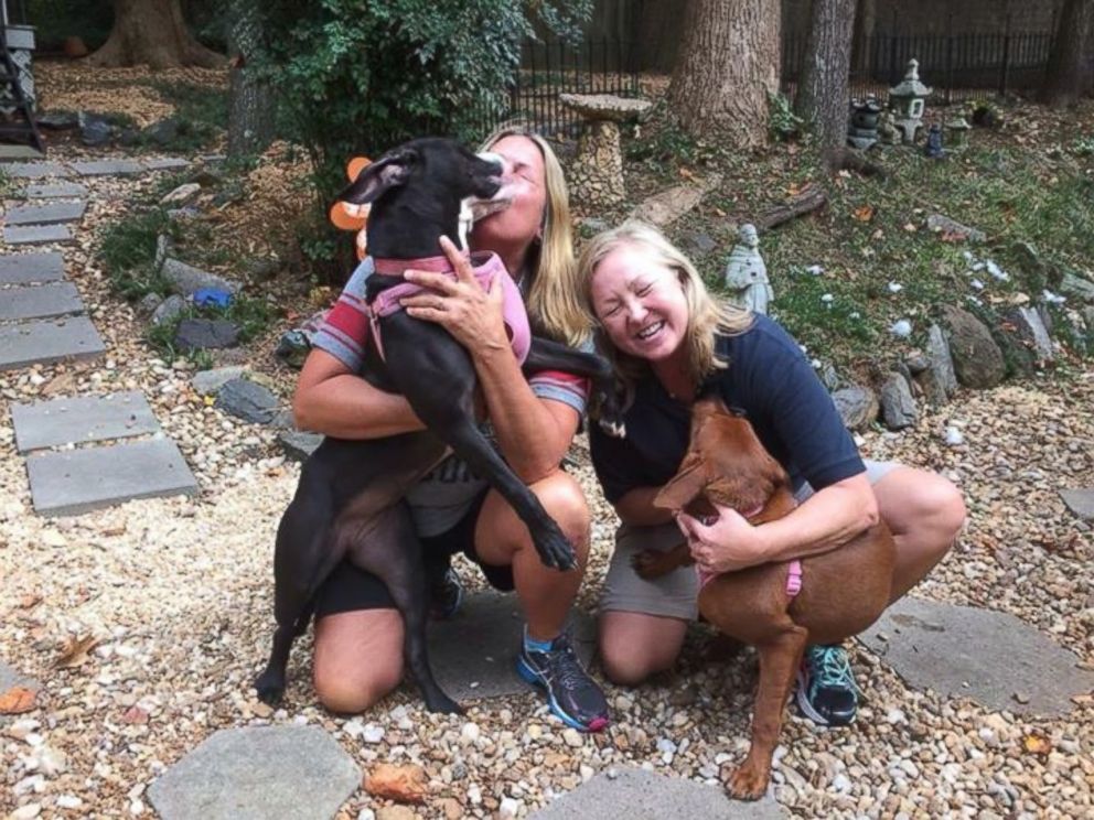 PHOTO: Kala and Keira, two shelters dogs caught hugging each other in a viral photo, were adopted by longtime roommates and best friends Pam and Wendy in Georgia in Oct. 2015. 
