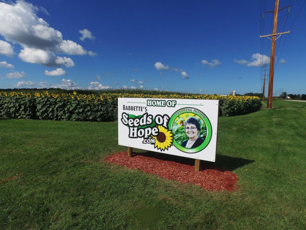 PHOTO: Don Jaquish planted the sunflowers lining Wisconsin’s Highway 85 in honor of his late wife Babbette Jaquish.