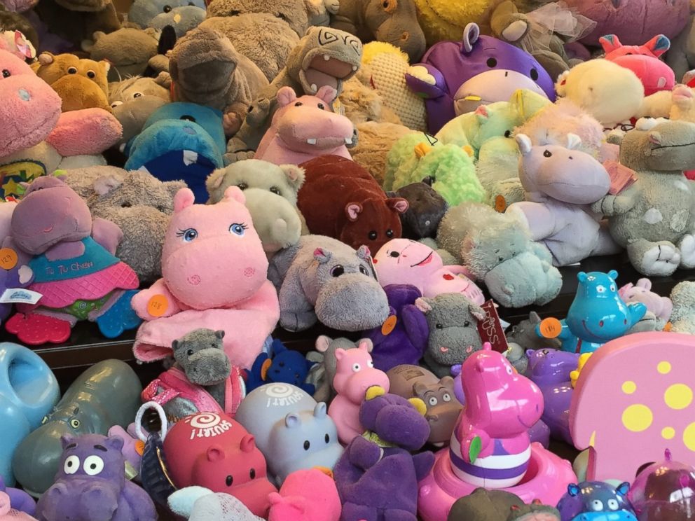 PHOTO: Becky Fuson, 29, of Meriden, Connecticut will be presenting evidence of her large collection of 604 hippo-related items to the Guinness Book of World Records in hopes to win a title of world record holder. 

