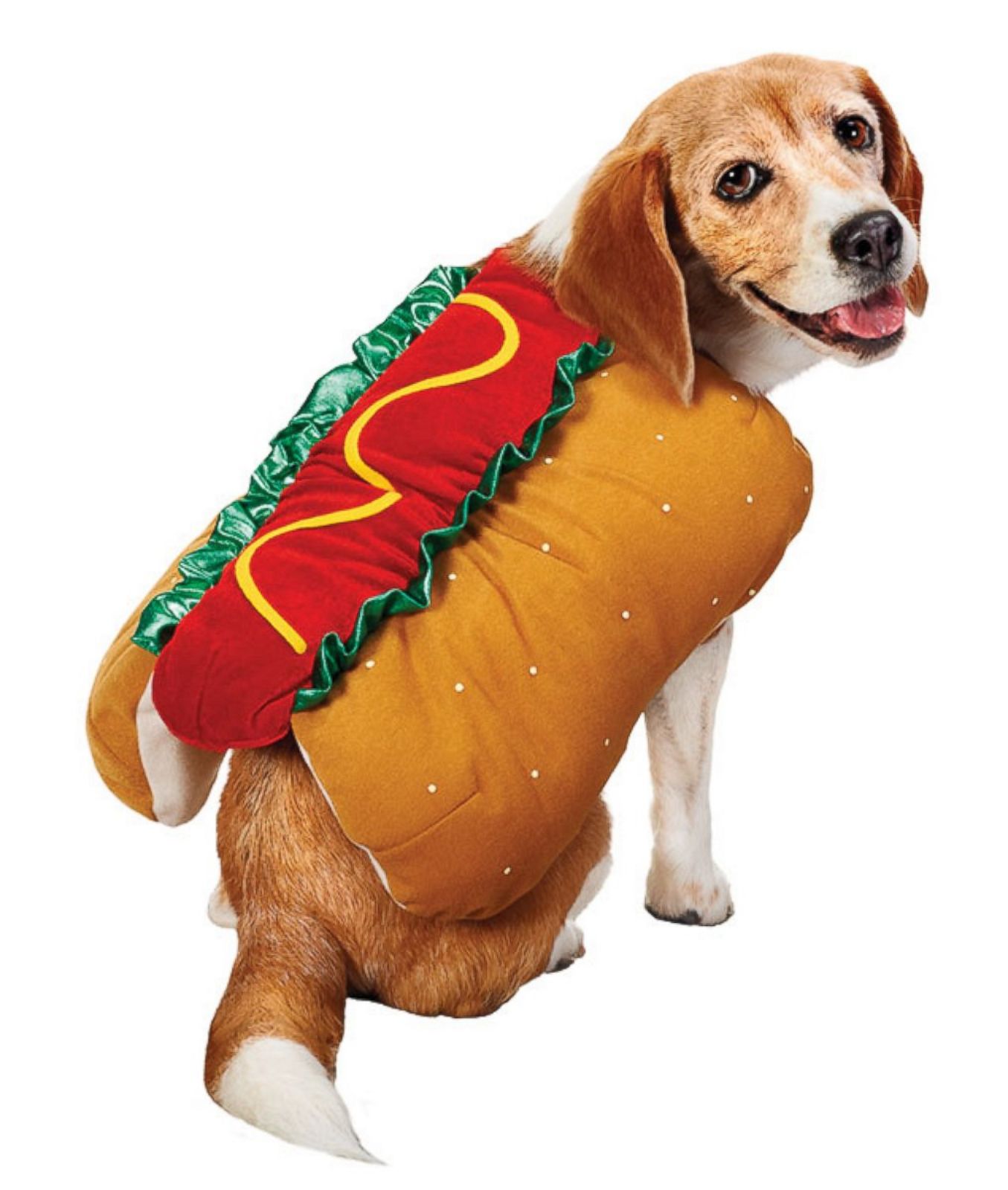 Hot Dog Picture | Halloween Costumes for Pets - ABC News