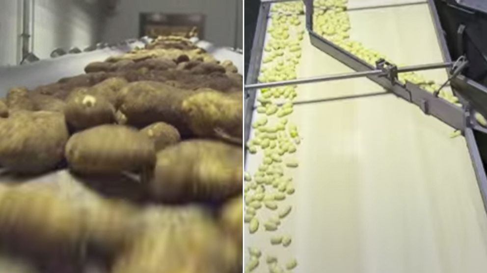 Mcdonald S Reveals Exactly How Your Beloved Fries Are Made Abc News