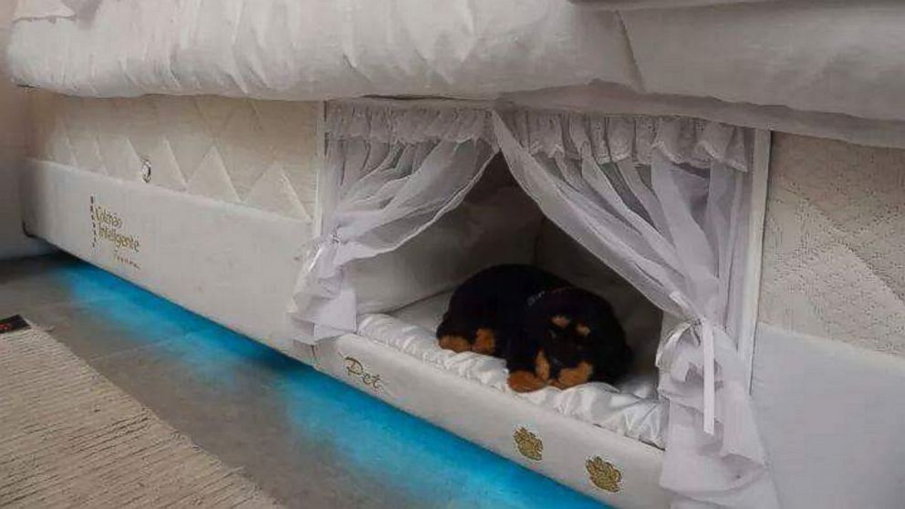 Brazilian Mattress Company Creates, Double Bed With Dog Attached