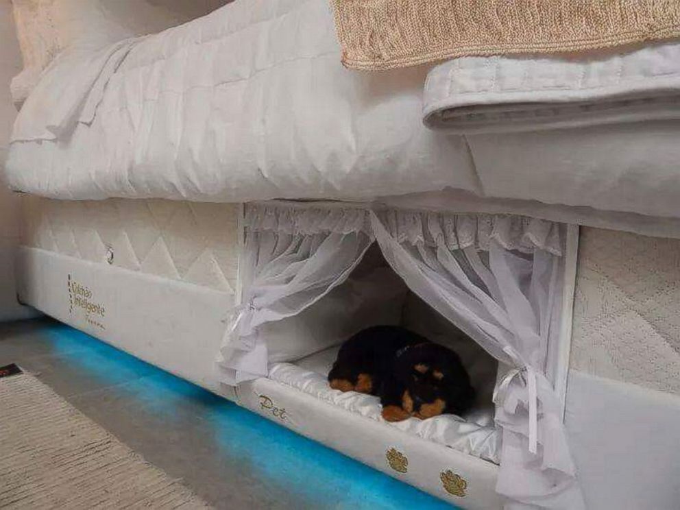 Dog bed sale connected to bed