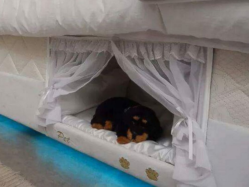 bed with dog bed attached