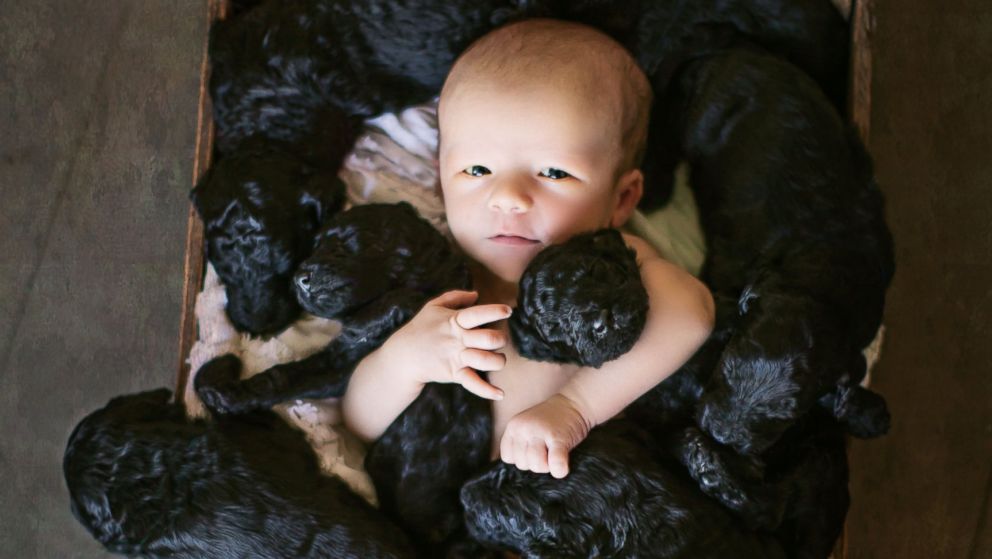 A mom gave birth to her son the same day her dog gave birth to a litter of nine puppies. Photographer Teresa Raczynski captured the ten of them when they were just one week old.