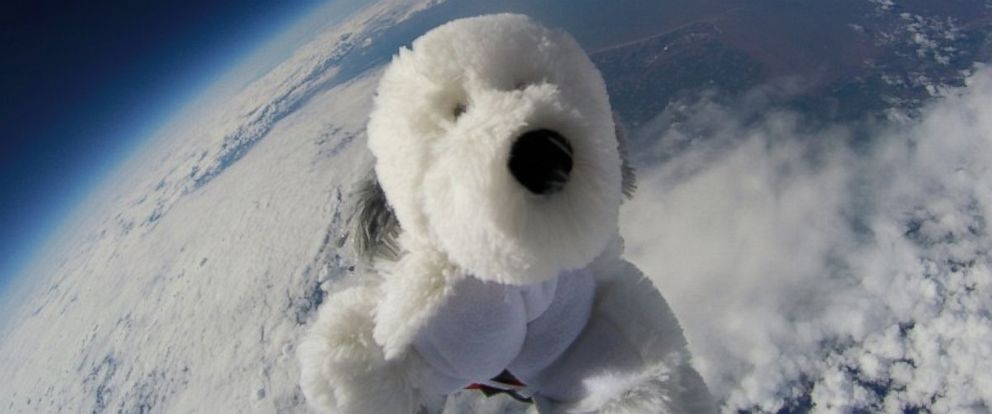 stuffed animals in space